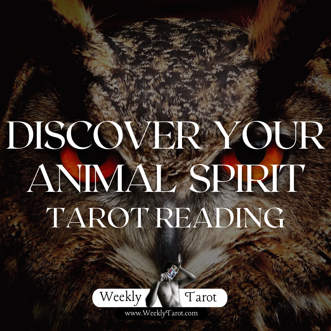 Whats your Animal Spirit Tarot Reading