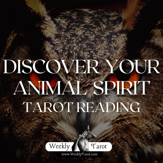 Whats your Animal Spirit Tarot Reading