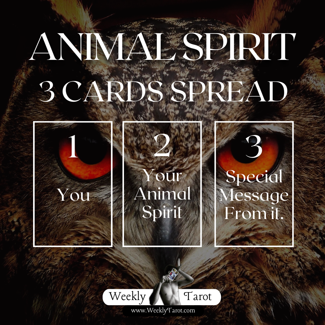 3 Cards Animal Spirit Tarot Reading Spread to find out your Animal Spirit