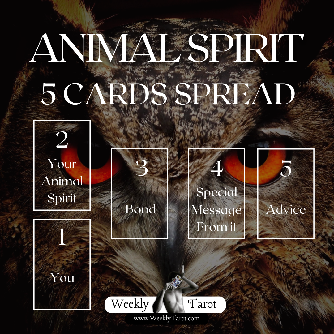 Animal Spirit Tarot Spread to Discover your Animal Spirit