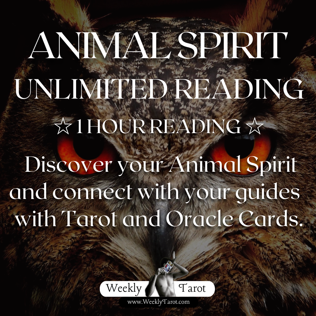Discover Your Animal Spirit Online Tarot Reading