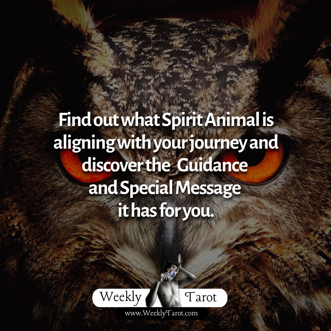 What is a spirit animal guidance quiz discover find out